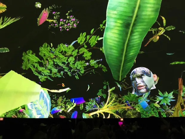 Leaf graphics on the inside of a planetarium dome.